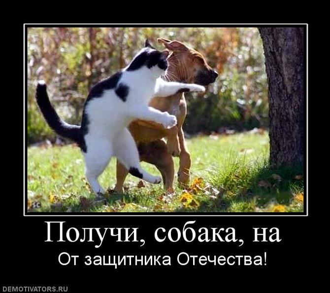 972151_poluchi-sobaka-na.jpg