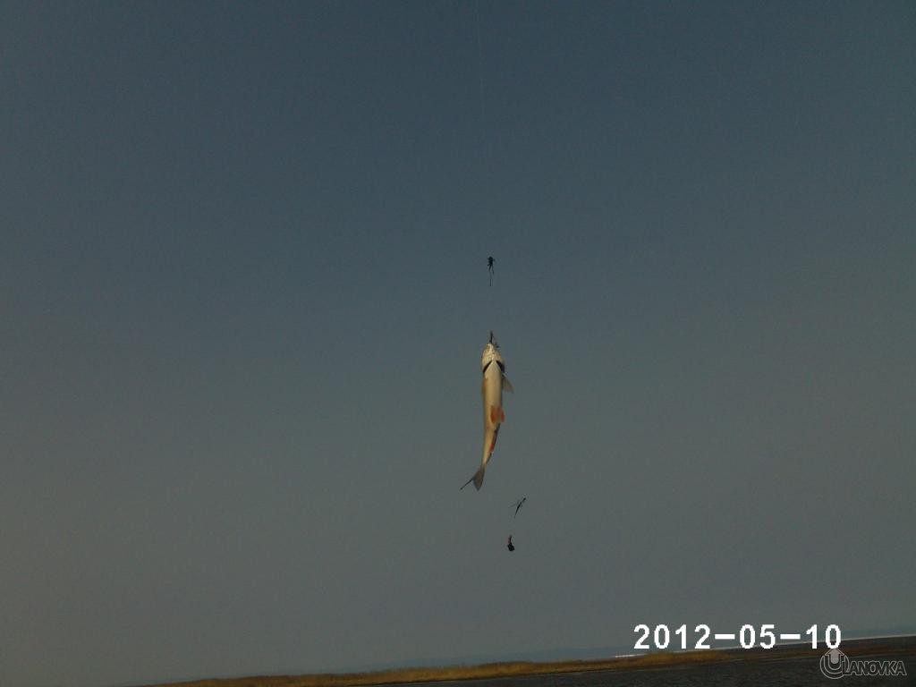 Ryibalka_Dubinino_003.jpg