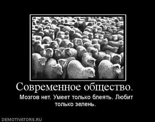 135860_sovremennoe-obschestvo-.jpg