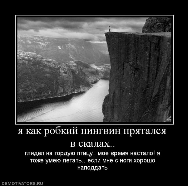 382108_ya-kak-robkij-pingvin-pryatalsya-v-skalah.jpg