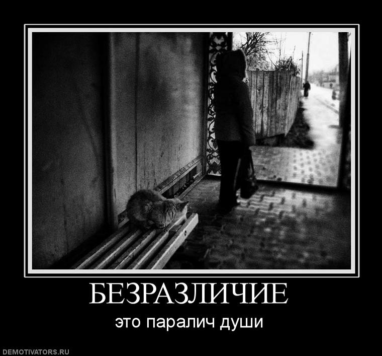 438125_bezrazlichie.jpg