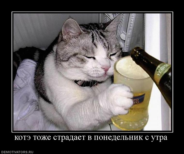 438707_kote-tozhe-stradaet-v-ponedelnik-s-utra.jpg