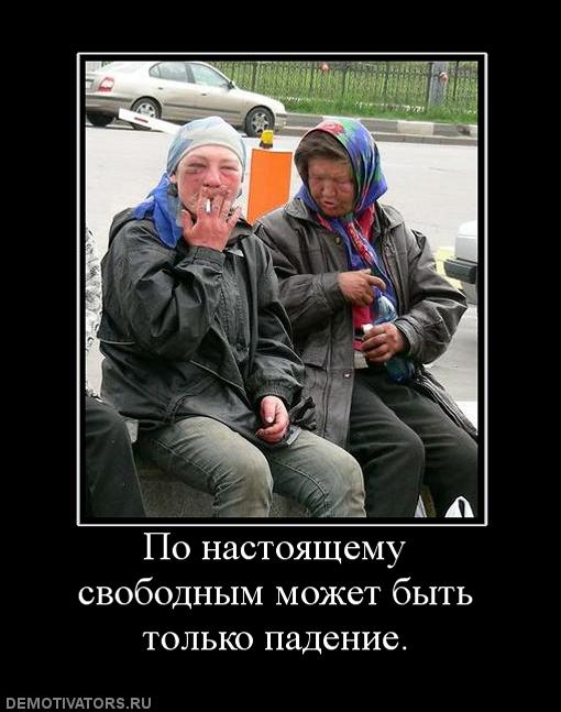 447829_po-nastoyaschemu-svobodnyim-mozhet-byit-tolko-padenie.jpg