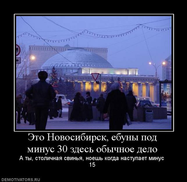 553561_eto-novosibirsk-ebunyi-pod-minus-30-zdes-obyichnoe-delo.jpg