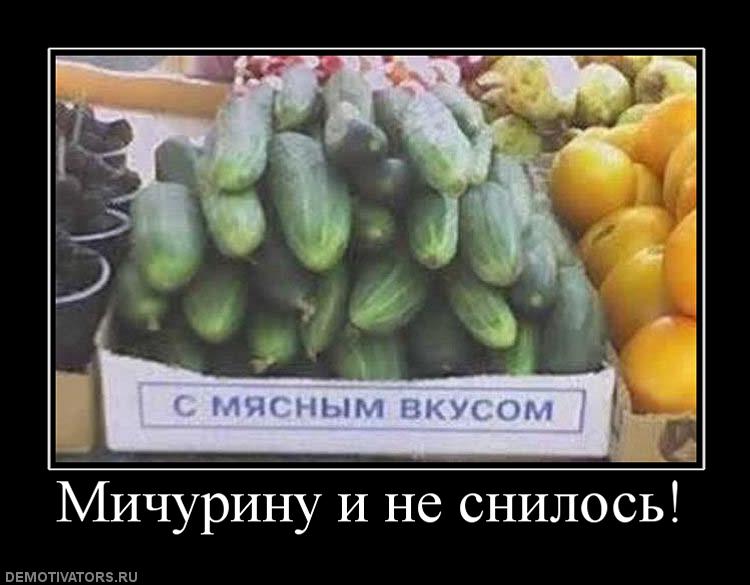 694051_michurinu-i-ne-snilos.jpg