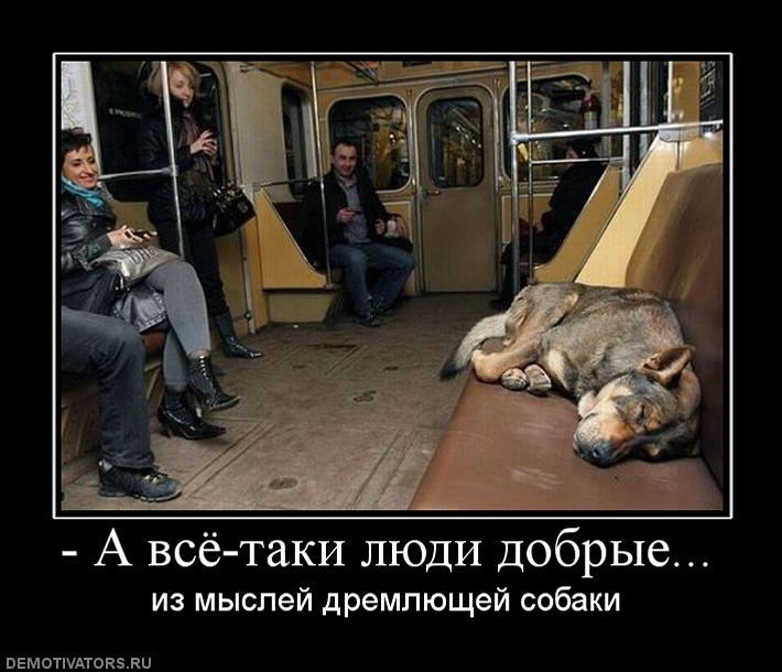 711319_-a-vsyo-taki-lyudi-dobryie.jpg