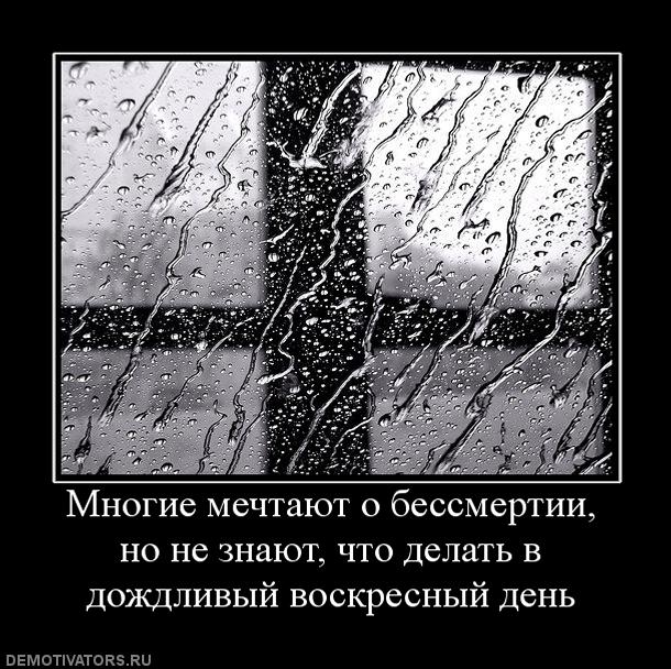 77691_mnogie-mechtayut-o-bessmertii-no-ne-znayut-chto-delat-v-dozhdlivyij-voskresnyij-den.jpg
