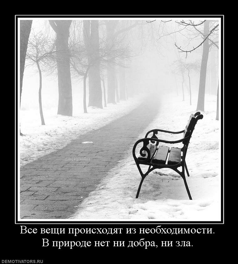 780504_vse-veschi-proishodyat-iz-neobhodimosti-v-prirode-net-ni-dobra-ni-zla.jpg