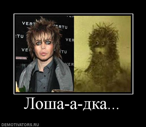 782593_losha-a-dka.jpg