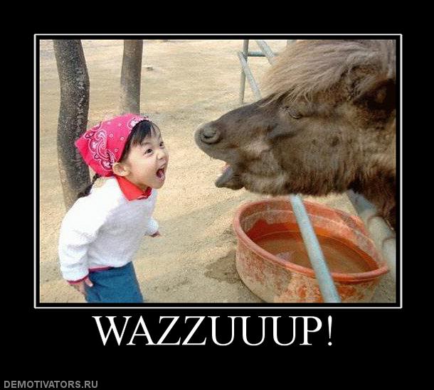 799914_wazzuuup.jpg