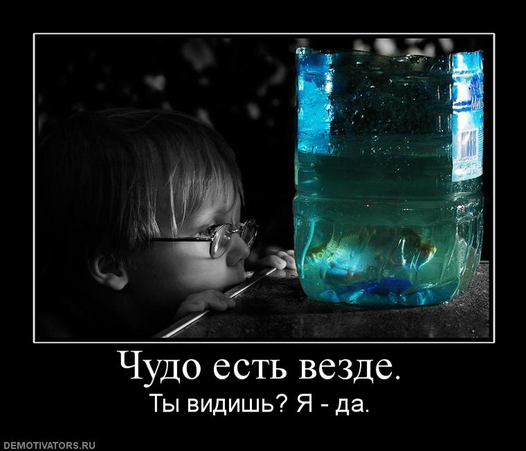 887406_chudo-est-vezde.jpg