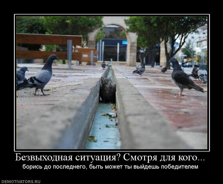 90514_bezvyihodnaya-situatsiya-smotrya-dlya-kogo.jpg