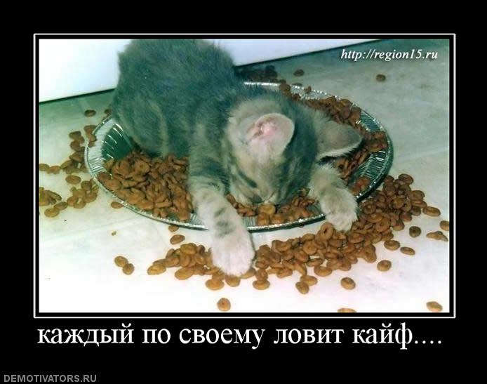 974583_kazhdyij-po-svoemu-lovit-kajf.jpg