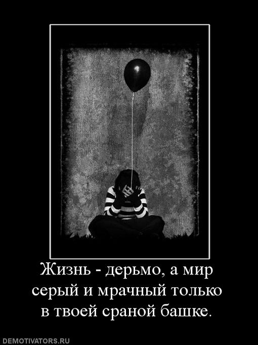 975355_zhizn-dermo-a-mir-seryij-i-mrachnyij-tolko-v-tvoej-sranoj-bashke.jpg