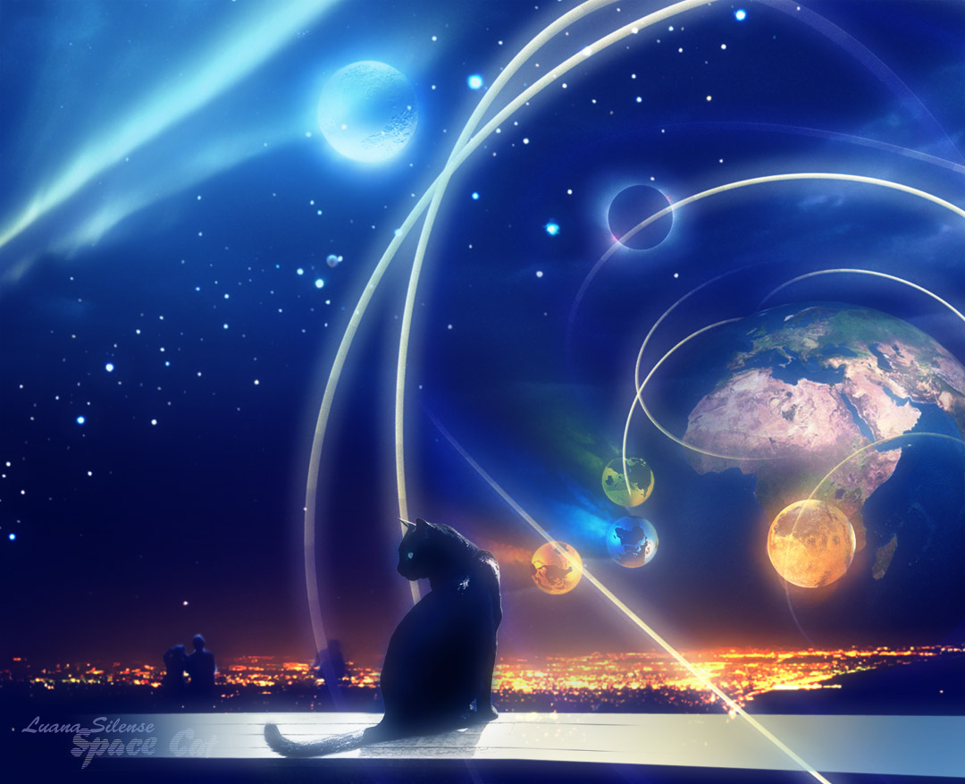 SpaceCat.jpg