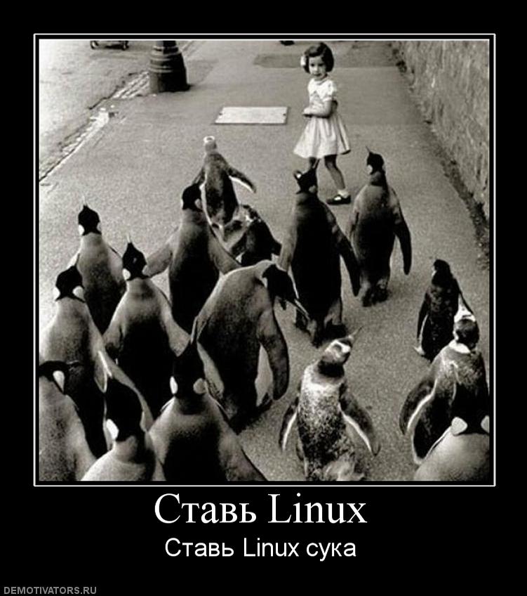 619854_stav-linux.jpg