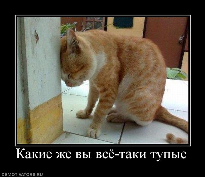 647113_kakie-zhe-vyi-vsyo-taki-tupyie.jpg