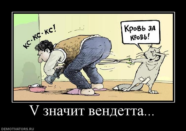 163588_v-znachit-vendetta.jpg