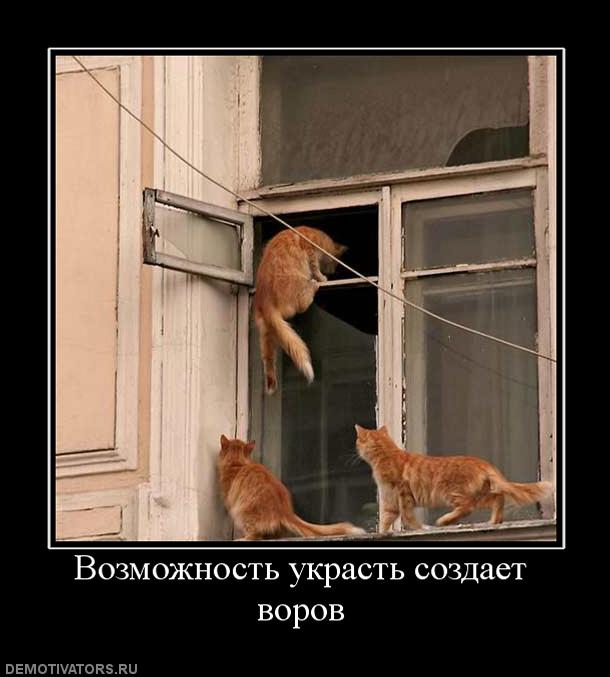 215900_vozmozhnost-ukrast-sozdaet-vorov.jpg