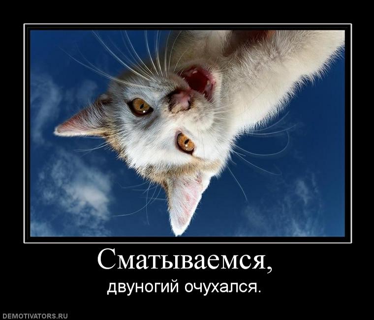 390968_smatyivaemsya.jpg