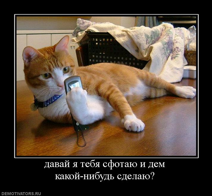 662483_davaj-ya-tebya-sfotayu-i-dem-kakoj-nibud-sdelayu.jpg