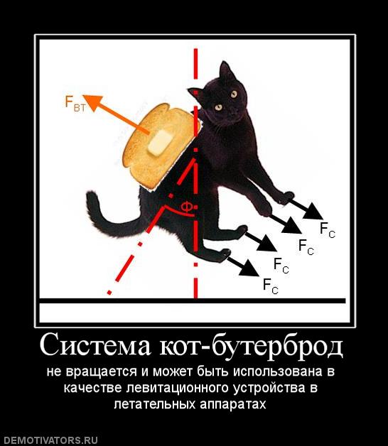 686941_sistema-kot-buterbrod_d00ed300a0b9307fabc258d6135c4ade.jpg