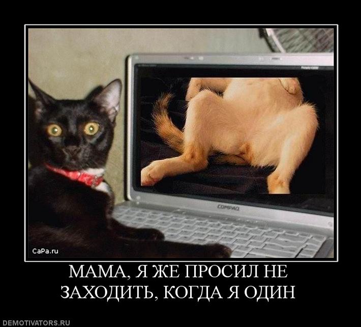 792999_mama-ya-zhe-prosil-ne-zahodit-kogda-ya-odin.jpg