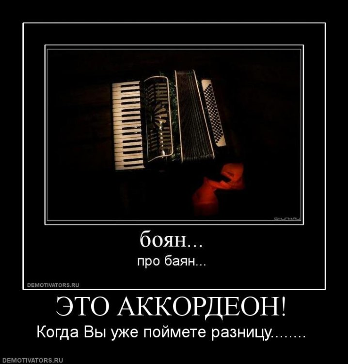1249565337_91072_eto-akkordeon.jpg