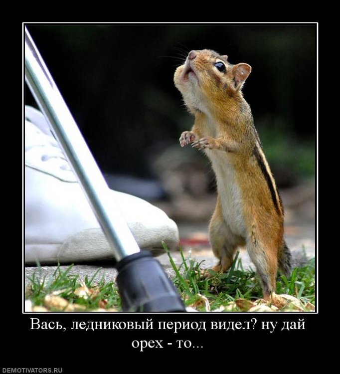 1249565338_922038_vas-lednikovyij-period-videl-nu-daj-oreh-to.jpg