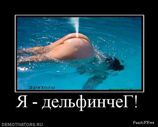 1255173175_142920_ya-delfincheg.jpg