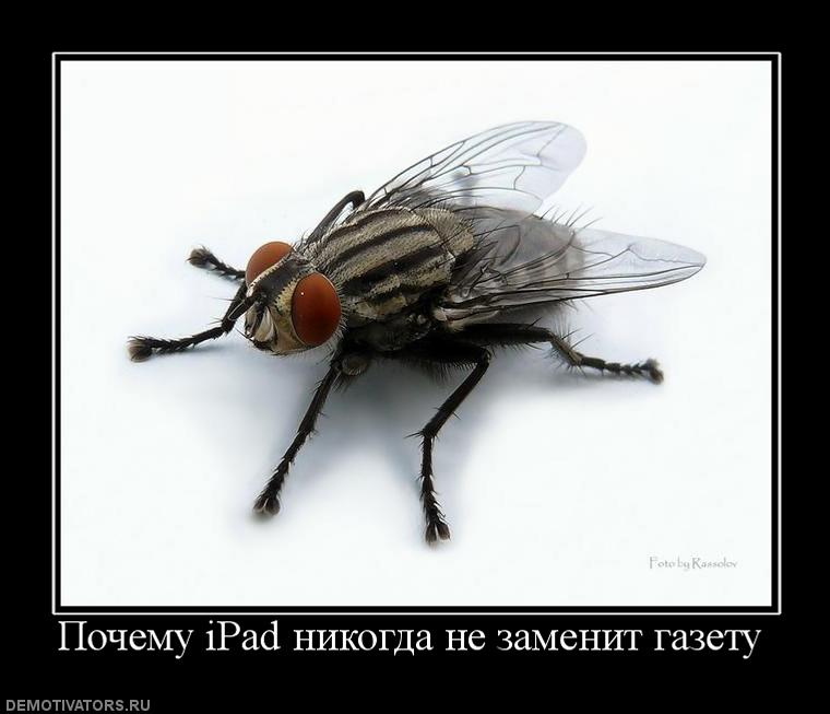 763222_pochemu-ipad-nikogda-ne-zamenit-gazetu.jpg