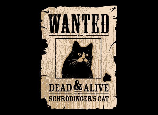 wanted-dead-and-alive-schrodingers-cat-t-shirt.jpg