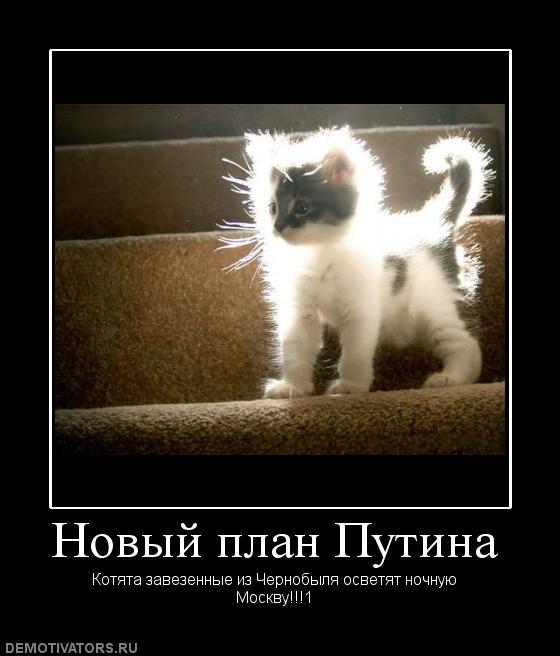 360456_novyij-plan-putina.jpg