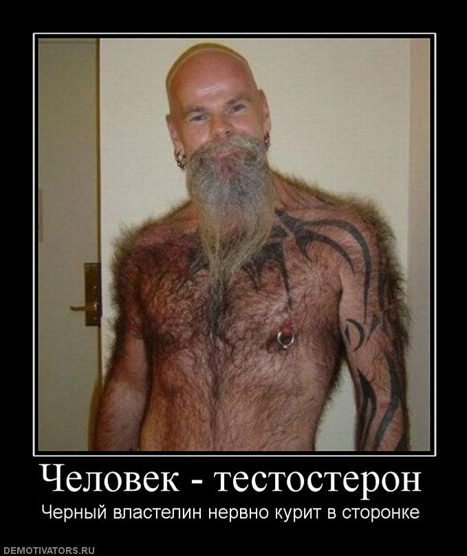 586374_chelovek-testosteron.jpg
