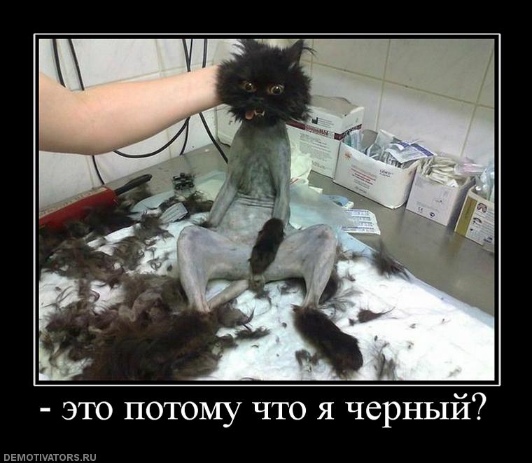 99929_-eto-potomu-chto-ya-chernyij.jpg