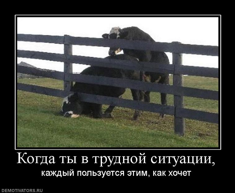 411758_kogda-tyi-v-trudnoj-situatsii.jpg