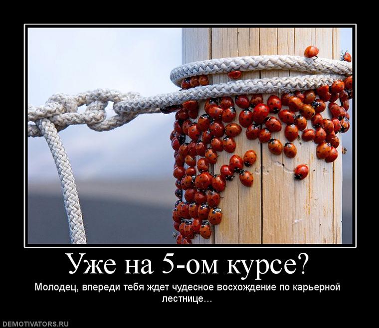 587754_uzhe-na-5-om-kurse.jpg