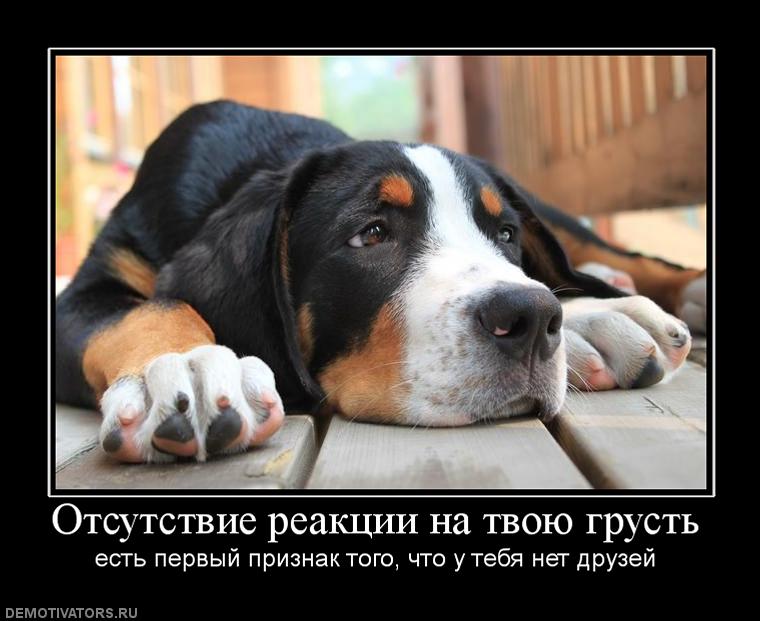 132400_otsutstvie-reaktsii-na-tvoyu-grust_147b62a9356d6d01d34c289fd91bf37f.jpg