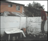1256745701_gifki_prikiolnie_036.gif