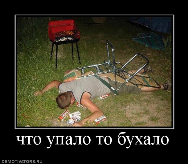 644018_chto-upalo-to-buhalo.jpg