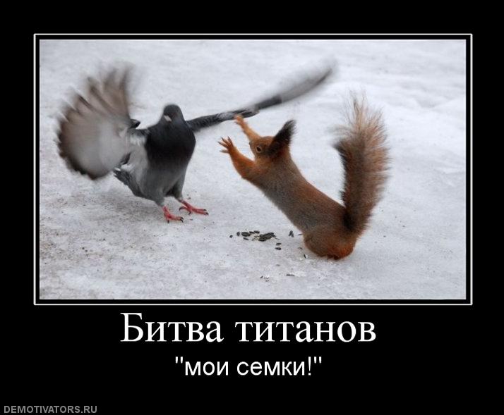 784201_bitva-titanov.jpg