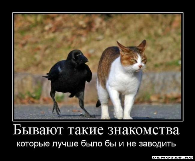 1283287697_993802_byivayut-takie-znakomstva.jpg