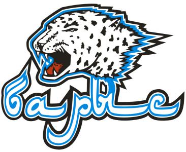 Barys_logo.jpg