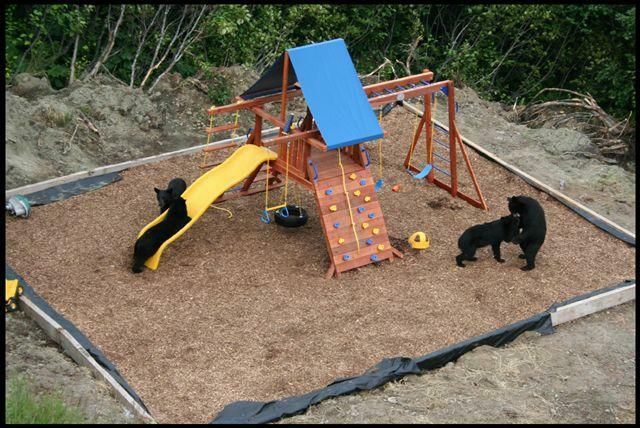 playground_4.jpg