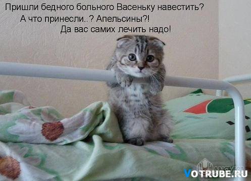 1326217602_-%28www.votrube.ru%299.jpg