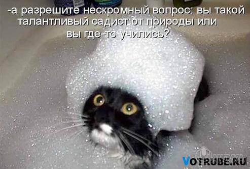 1326217615_-%28www.votrube.ru%293.jpg