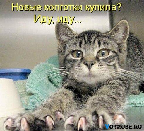 1326217650_-%28www.votrube.ru%2916.jpg