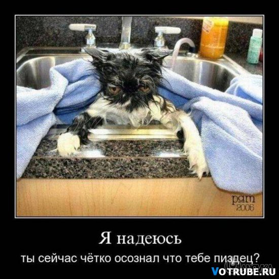 1327424716_-%28www.votrube.ru%2914.jpg
