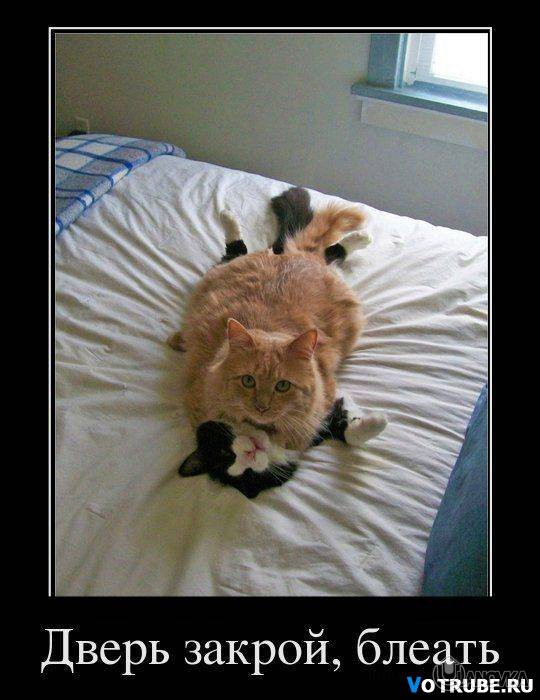 1327690674_-%28www.votrube.ru%296.jpg