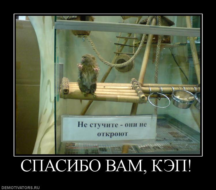 497776_spasibo-vam-kep.jpg
